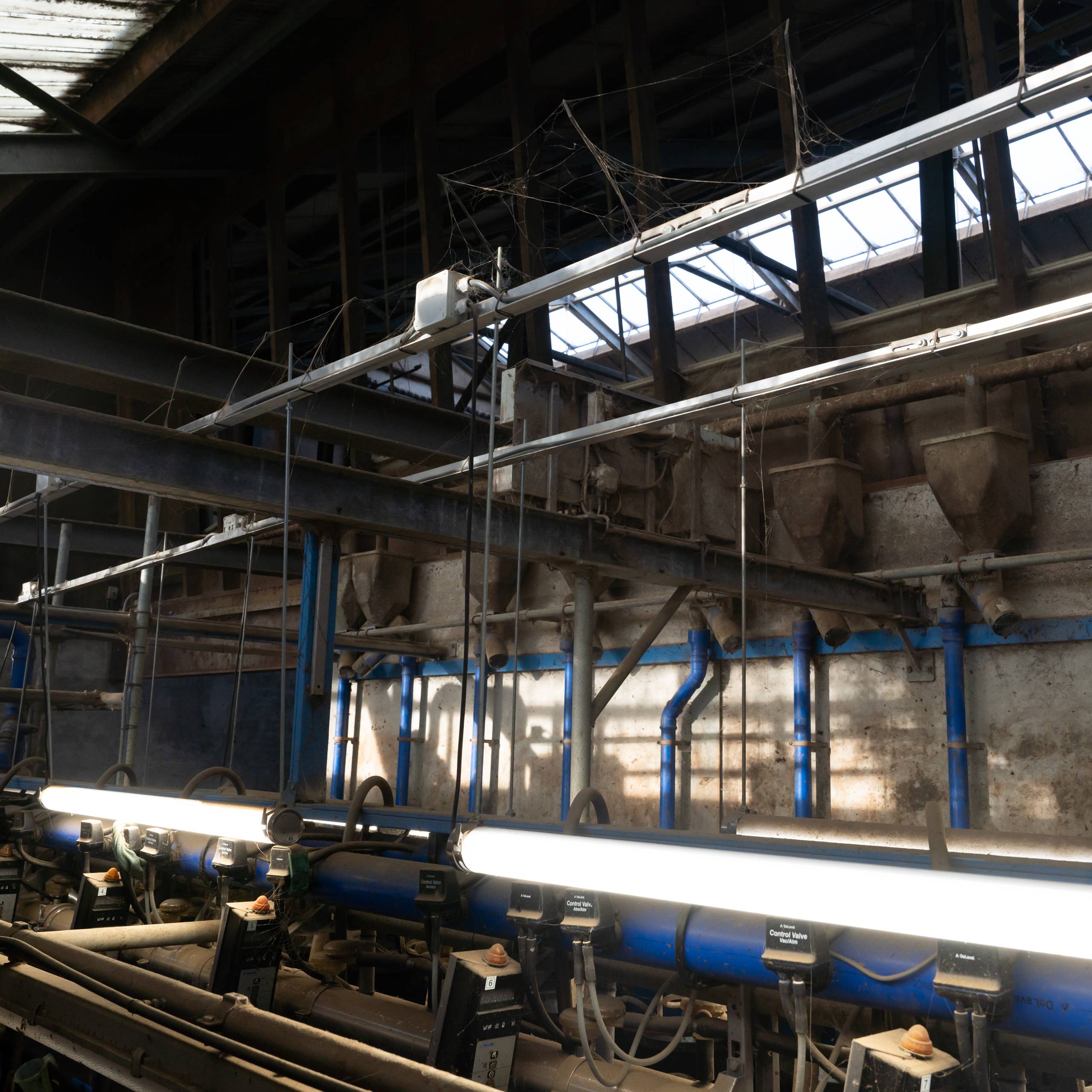 LED's light PRO LED-Röhrenleuchte 150cm 40 W kaltweiß IP69K Ammoniakbeständig für Tierhaltung DLG-geprüft