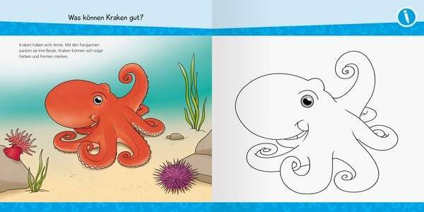 Wieso? Weshalb? Warum? junior AKTIV: Am Meer