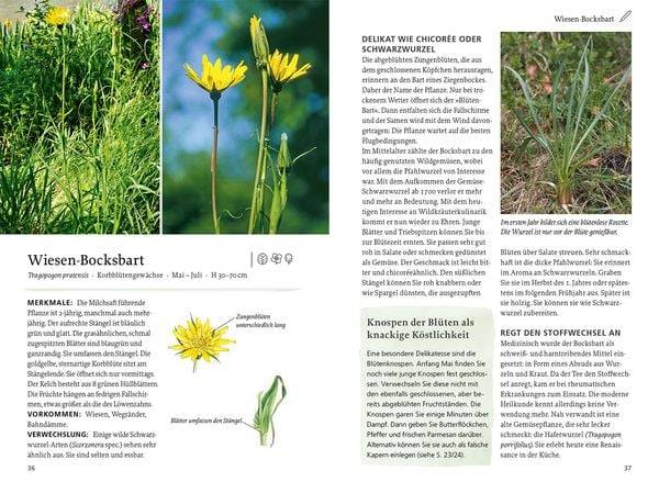 Unsere essbaren Wildpflanzen