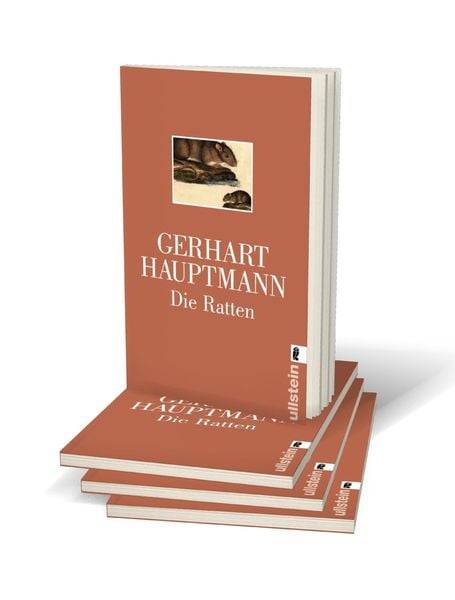 Die Ratten