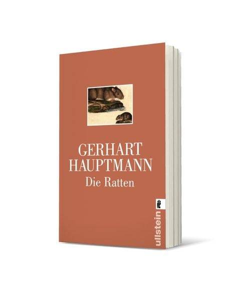 Die Ratten
