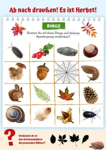 Abenteuer-Spaziergänge