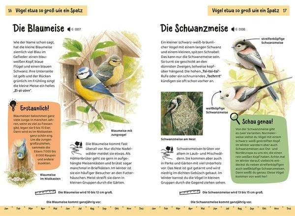 Welcher Gartenvogel ist das? Kindernaturführer