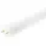 LED's light LED-Röhre 60 cm 14 Watt neutralweiß G13 mit Starter für KVG/VVG LED's light LED-Röhre 60 cm 14 Watt neutralweiß G13 mit Starter für KVG/VVG