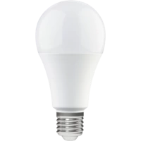 LED's light LED Birne E27 16,0W warmweiß Opal A70 LED's light LED Birne E27 16,0W warmweiß Opal A70