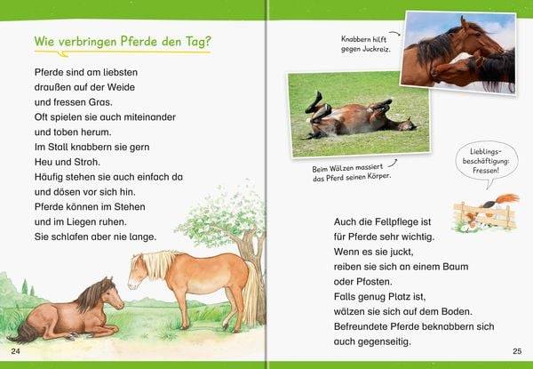 Wieso? Weshalb? Warum? Erstleser, Band 6: Pferde