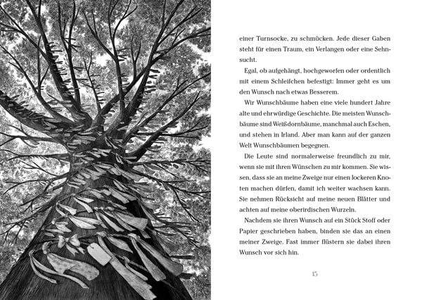 Baum der Wünsche