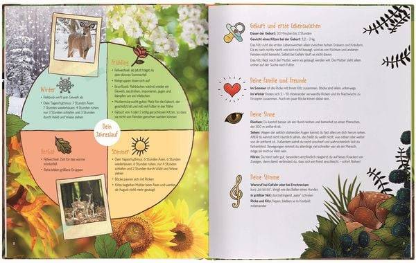 Stell dir vor, du wärst...ein Tier im Wald