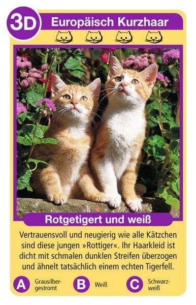 Tierquartett Katzen (Ravensburger - 20421)