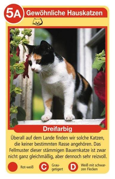 Tierquartett Katzen (Ravensburger - 20421)