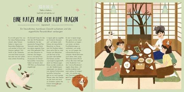 Total Verrückte Sprichwörter und Redewendungen