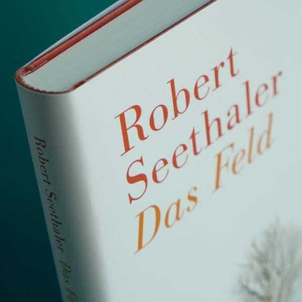Das Feld