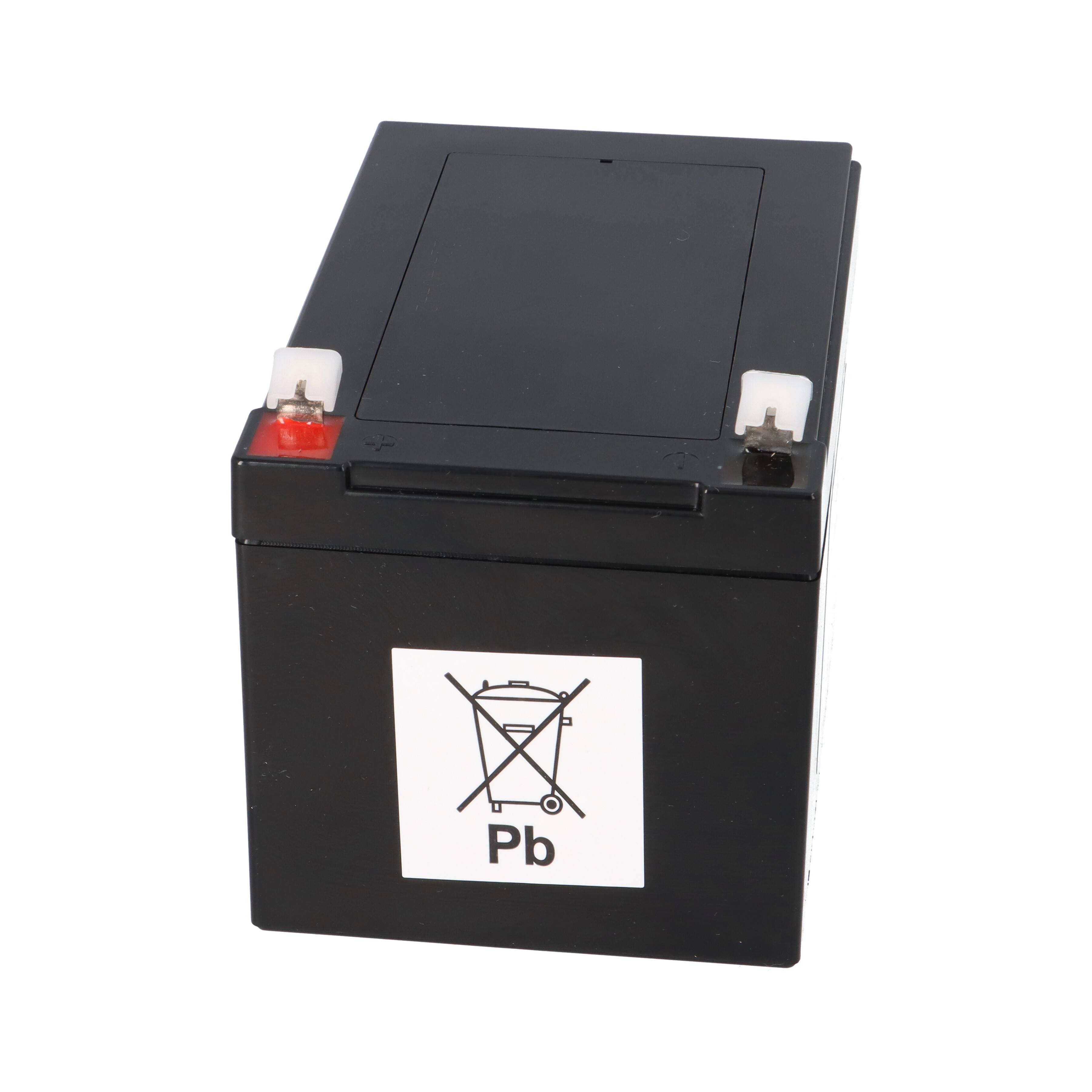 Schwarze Batterie mit Pb-Warnzeichen und durchgestrichenem Abfallbehälter, der anzeigt, dass sie nicht mit dem normalen Hausmüll entsorgt werden darf.