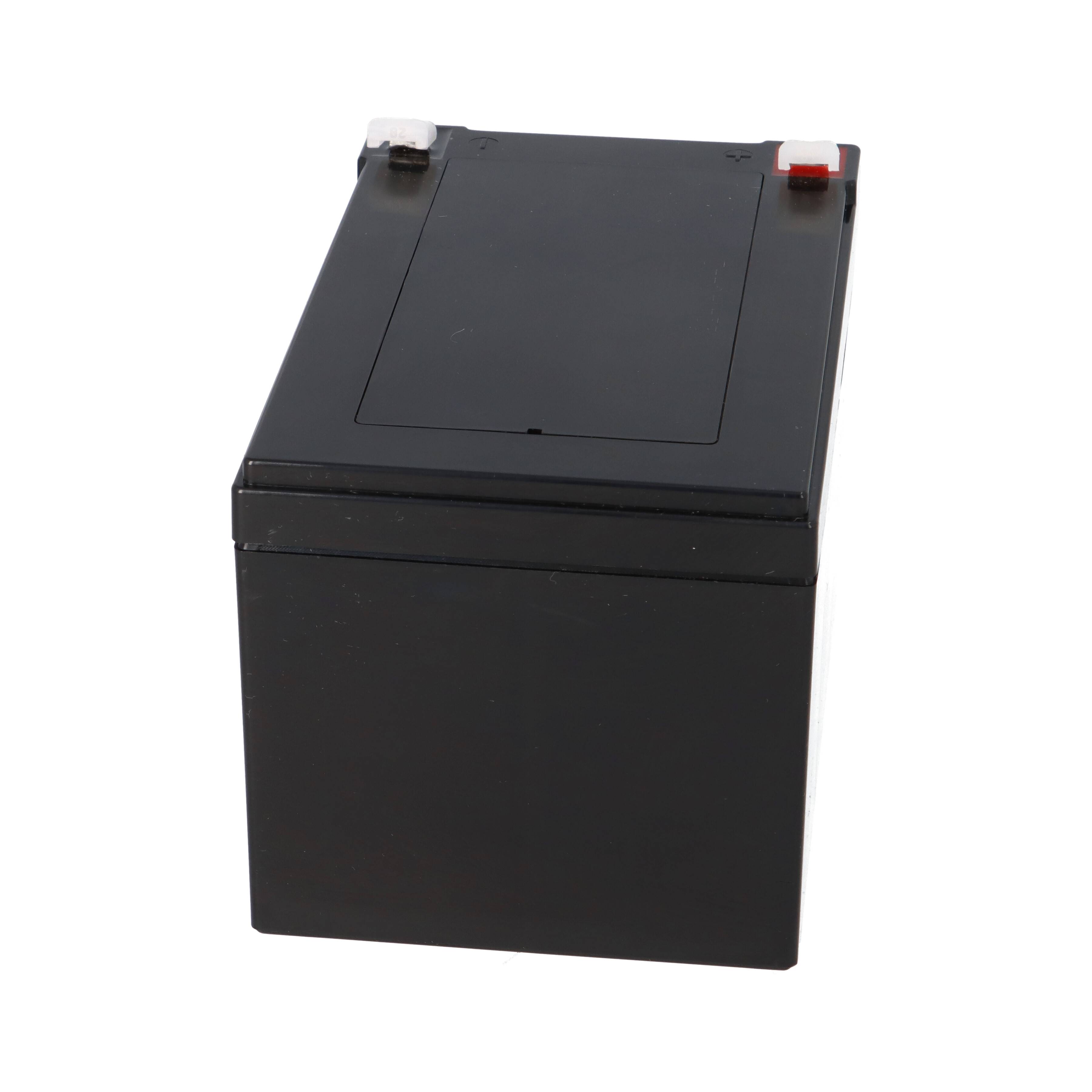 Eine schwarze rechteckige Batterie mit zwei Anschlüssen oben: einer rot und einer schwarz, die positive und negative Verbindungen anzeigen.