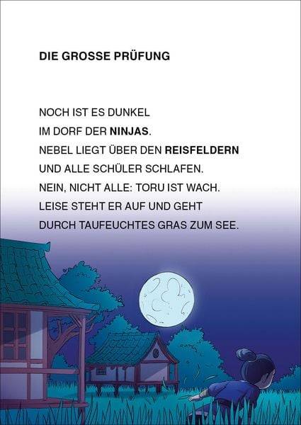 Leselöwen 2. Klasse - Die große Ninja-Prüfung (Großbuchstabenausgabe)