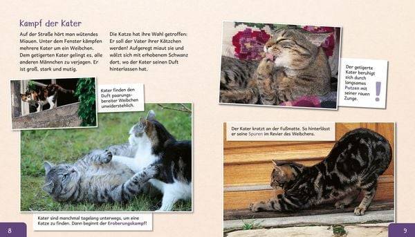 Meine große Tierbibliothek: Die Katze