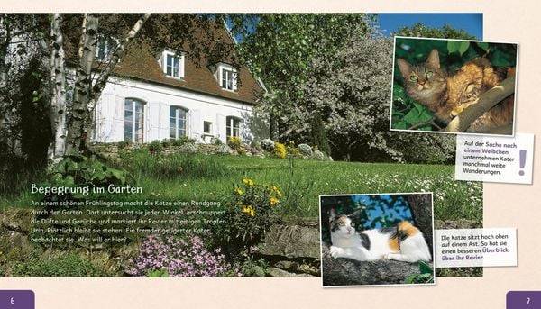 Meine große Tierbibliothek: Die Katze