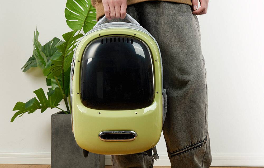 Haustier-Reiserucksack PetKit Breezy 2 (Grün)