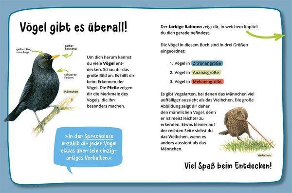 Mein erster Naturführer, Was fliegt denn da?