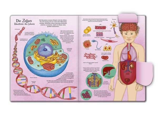 Mein großes Klappenbuch - Körper