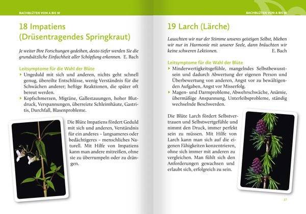 Heilen mit Bachblüten. Das Kartenset. Mit 42 Bachblüten-Karten und 46-seitigem Booklet
