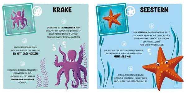 Mini-Puzzle Der Ozean