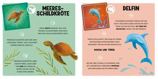 Mini-Puzzle Der Ozean