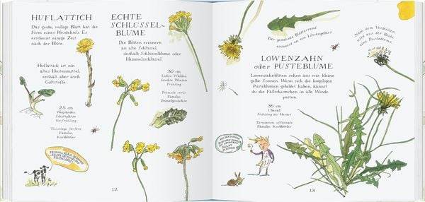Veilchen, Mohn und Gänseblümchen