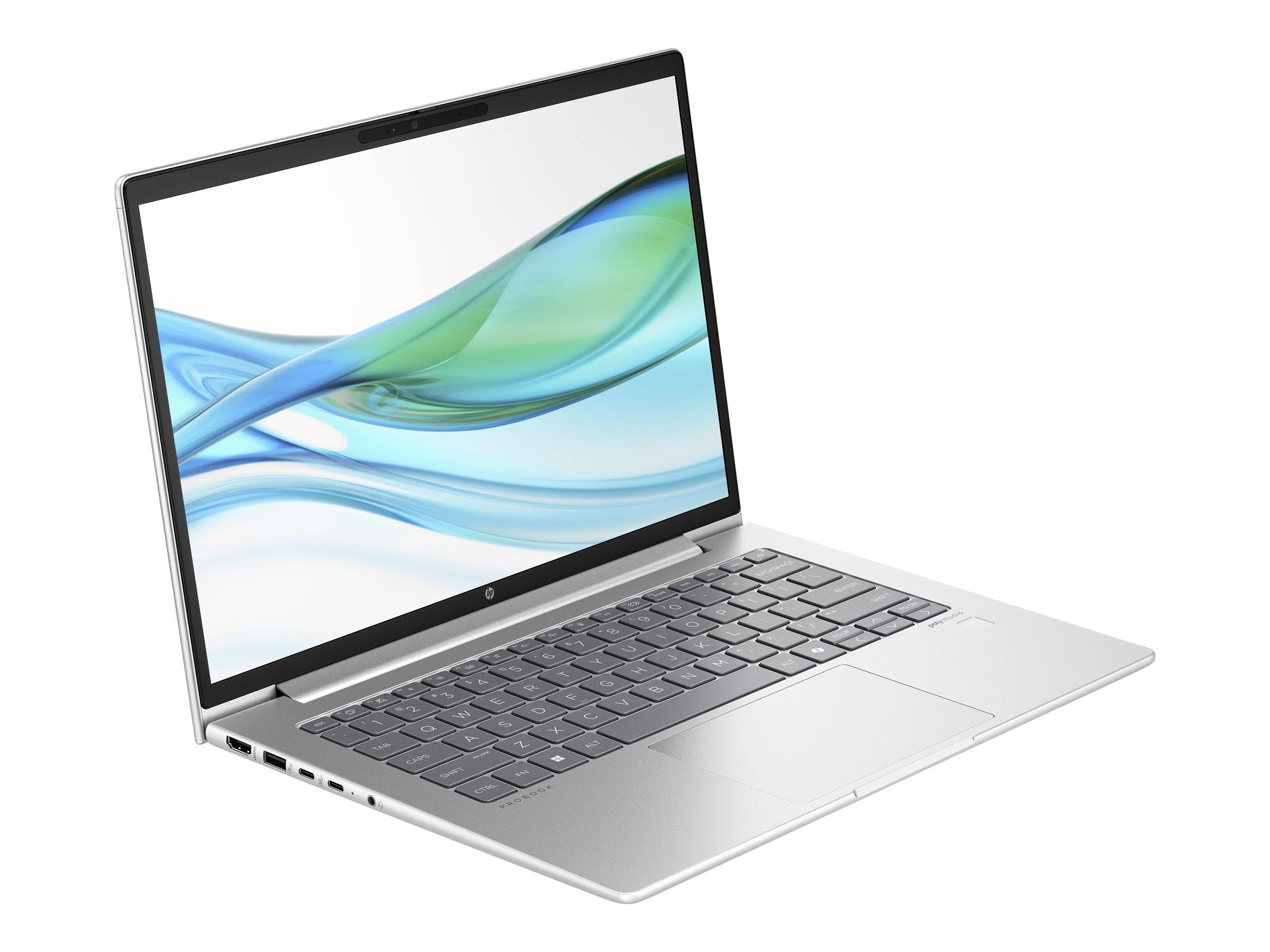 HP ProBook 445 G11 Notebook - AMD Ryzen 5 7535U / 2.9 GHz - Win 11 Pro - Radeon 660M - 8 GB RAM - 256 GB SSD NVMe - 35.6
