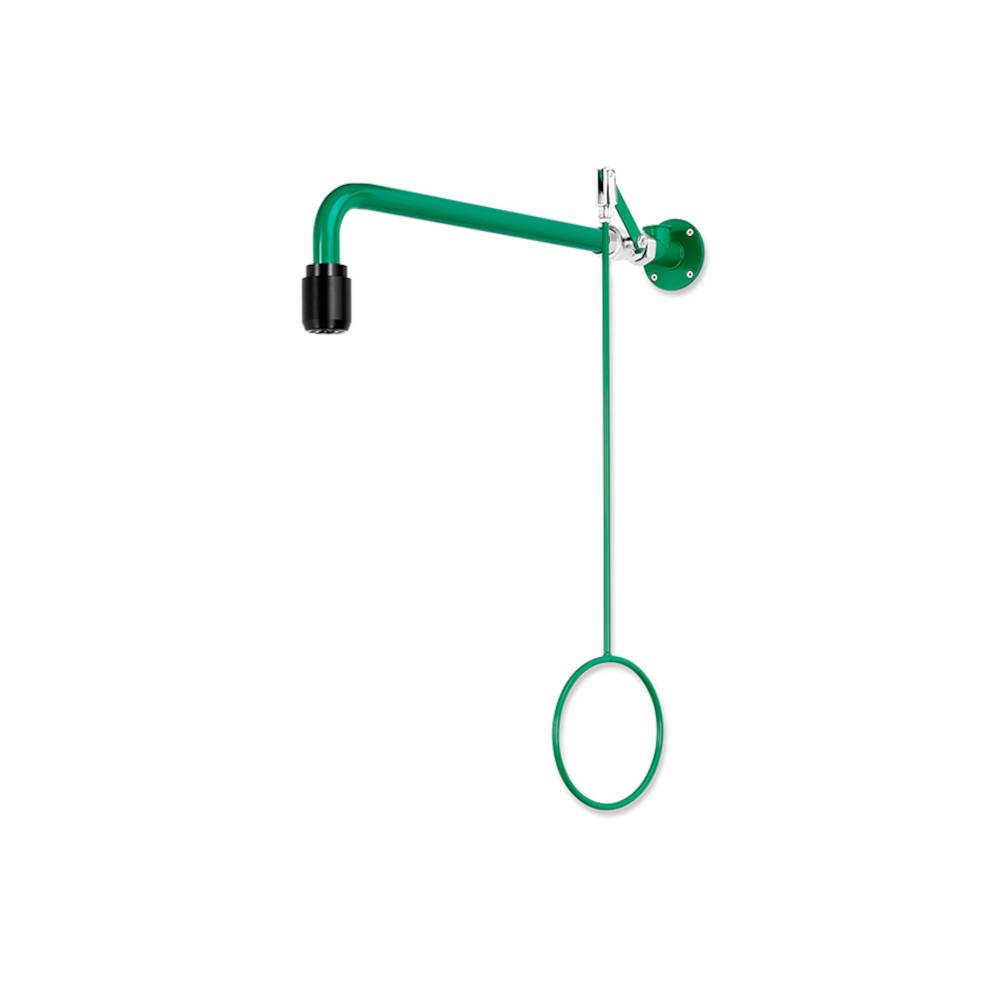 Körper-Notdusche - ClassicLine - Edelstahl , pulverbeschichtet, grün - chemikalienbeständig - für Wandmontage Aufputz - Wasseranschluss 3/4-Zoll-I