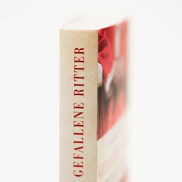Gefallene Ritter. Malteserorden und Vatikan. Der Machtkampf zwischen zwei der ältesten Institutionen der Welt – AKTUALISIERTE TASCHENBUCHAUSGABE