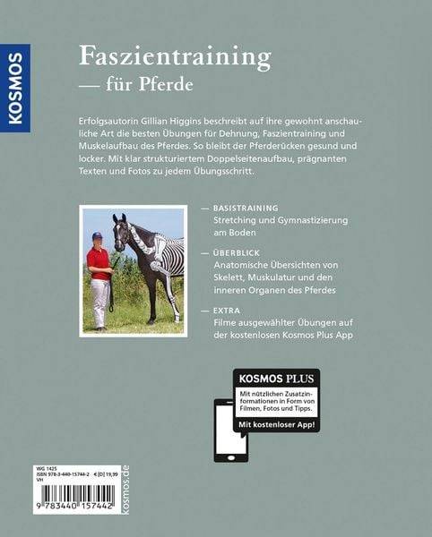 Anatomie, Gymnastizierung, Muskelaufbau