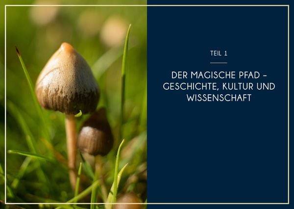 Microdosing mit Psilocybin