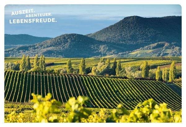 52 kleine & große Eskapaden in der Pfalz