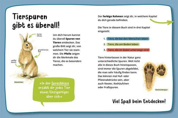 Mein erster Naturführer, Welche Tierspur ist das?