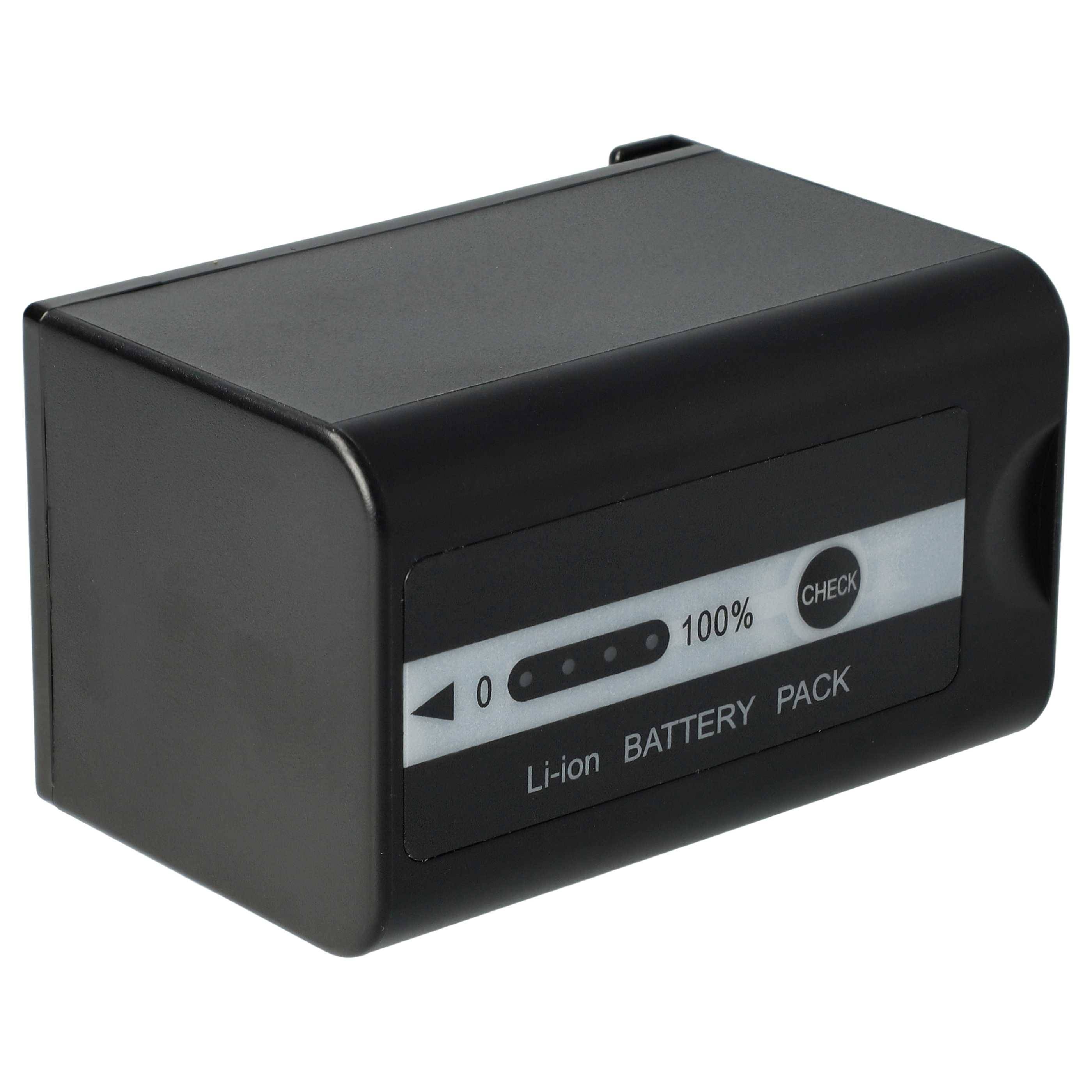 vhbw 2x Akku Ersatz für Panasonic VW-VBD58 | für Videokamera Camcorder (5200 mAh, 7,4 V, Li-Ion) + Infochip