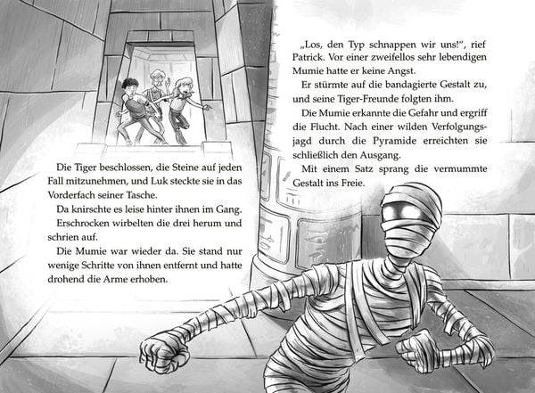 Tiger-Team - Der Fluch des Pharao