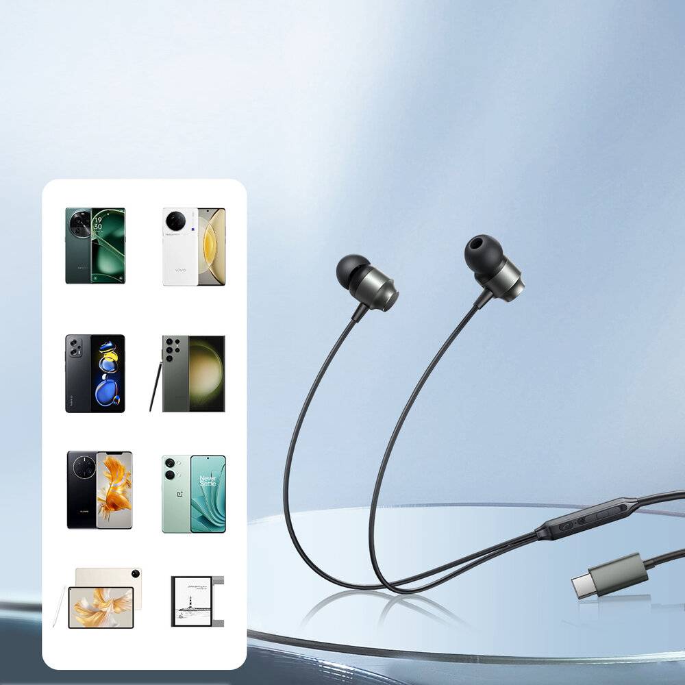 Joyroom JR-EC06 In-Ear Kopfhörer, USB-C, mit Mikrofon und Fernbedienung, Grau