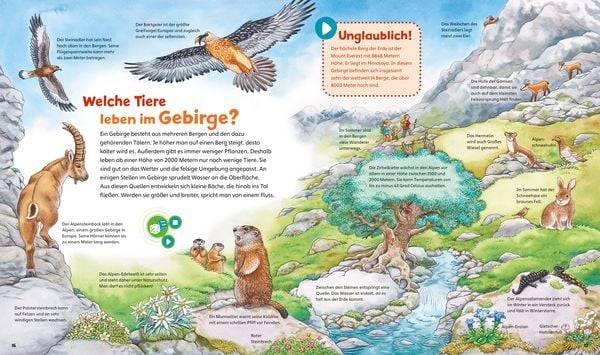 BOOKii® WAS IST WAS Junior Erlebe die Natur!