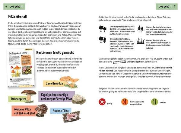 Welcher Pilz ist das? Kindernaturführer