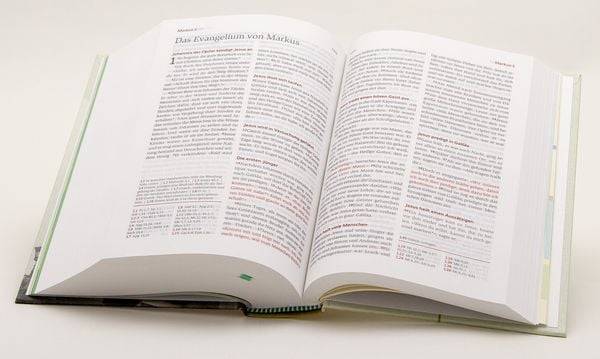 Neues Leben. Die Bibel für Teens