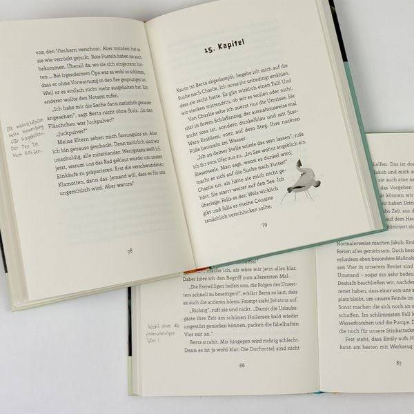 Mission Hollercamp Band 1 - Der unheimliche Fremde