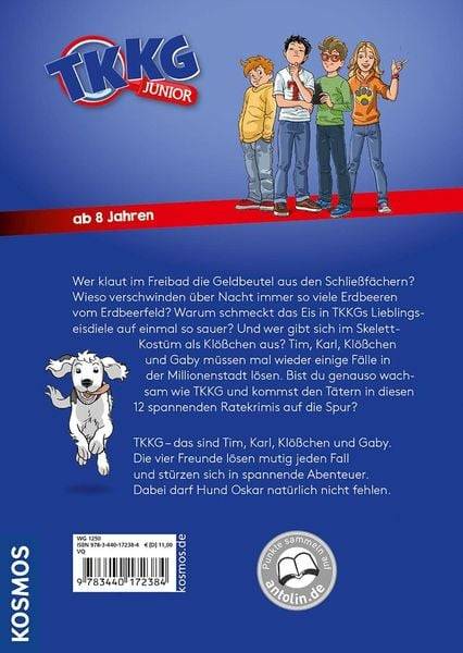 TKKG Junior, Kein Hitzefrei für Detektive - 12 spannende Ratekrimis