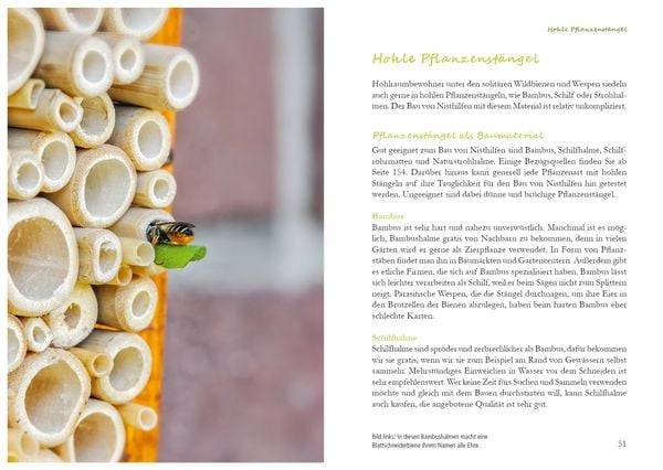 Fertig zum Einzug: Nisthilfen für Wildbienen