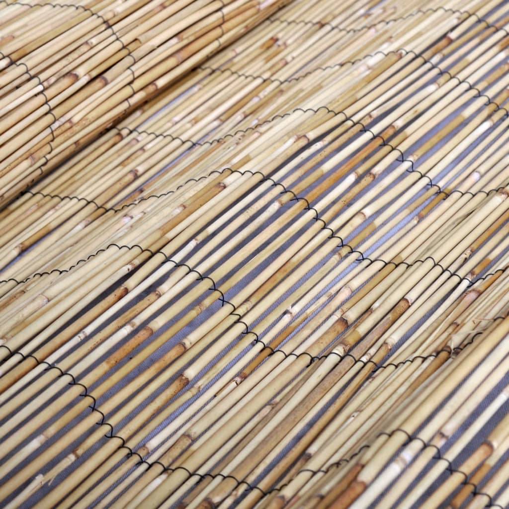 vidaXL Gartenzaun 500x80 cm Schilf