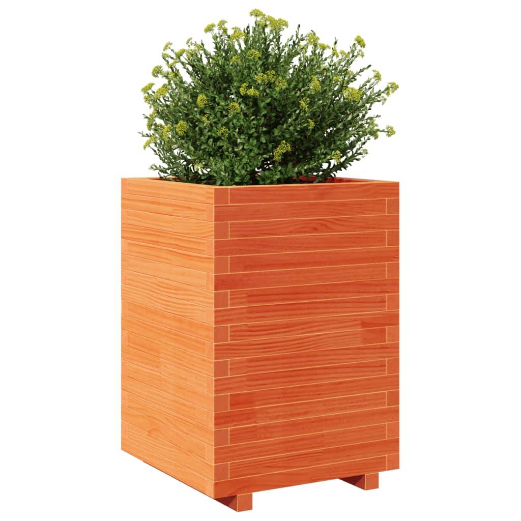 vidaXL Pflanzkübel Wachsbraun 50x50x72,5 cm Massivholz Kiefer