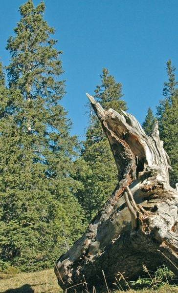 Die schönsten Bergwanderungen in Vorarlberg