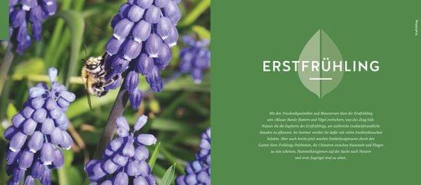 Quickfinder Artenvielfalt im Gartenjahr