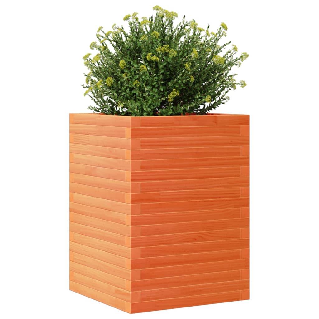 vidaXL Pflanzkübel Wachsbraun 50x50x68,5 cm Massivholz Kiefer