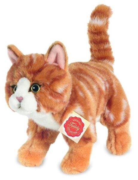 Katze, stehend, rot